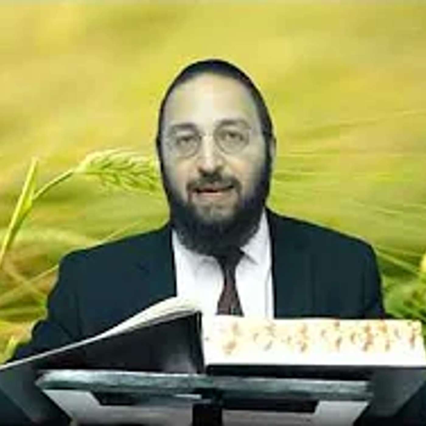 הדף היומי | מסכת שבועות דף ז (מחזור ב') | הרב פנחס יוסף אקרב episode artwork