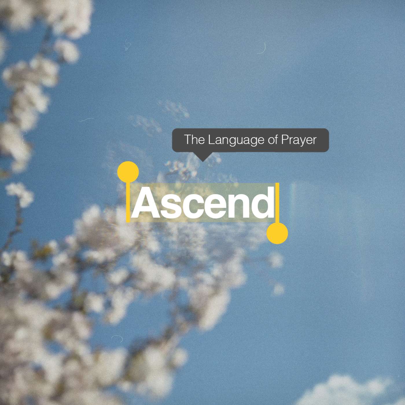 Ascend | Psalm 7 | Week Five episode artwork