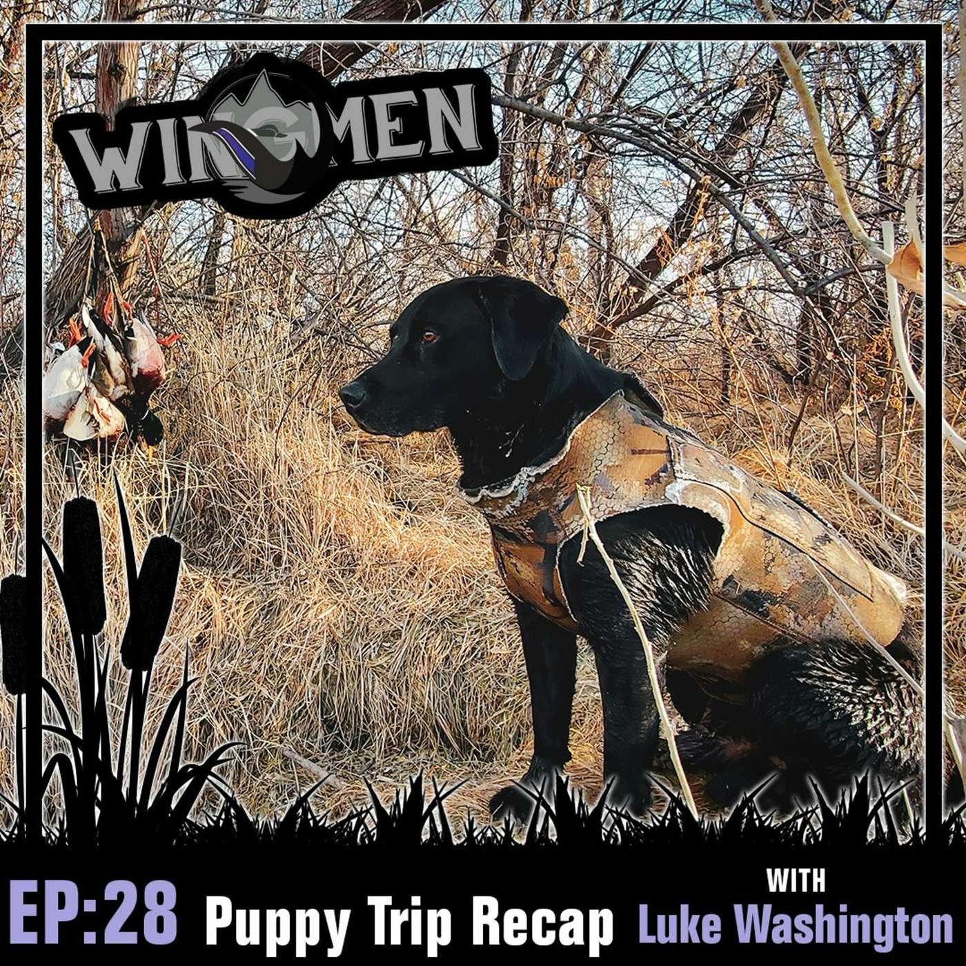 Episode 32: Puppy Trip Recap with Luke Washington episode artwork