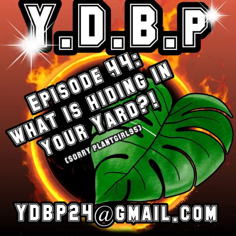 Episode 44 - What is Hiding in your Backyard?!