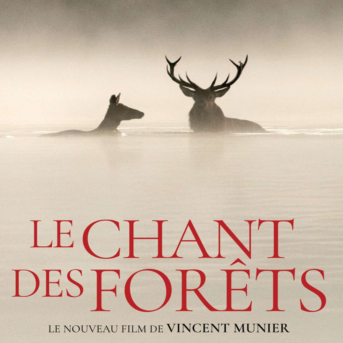 Rembobinage #217: Le chant des forêts