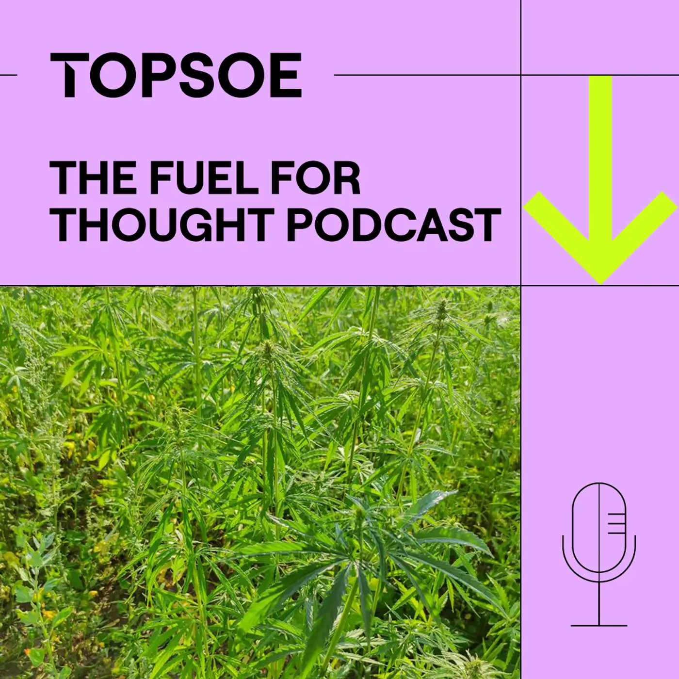 Building a Hempire: SGP’s bioenergy journey  featured Image