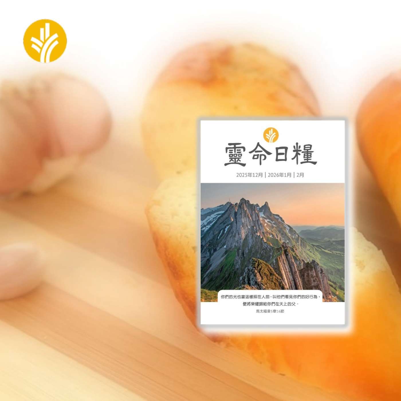 12月10日 難忘的功課 12月10日 難忘的功課