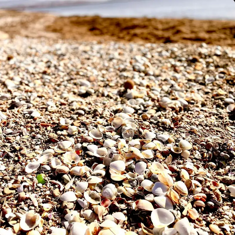 Unwanted intimacy [featured at Radiophrenia 2025]