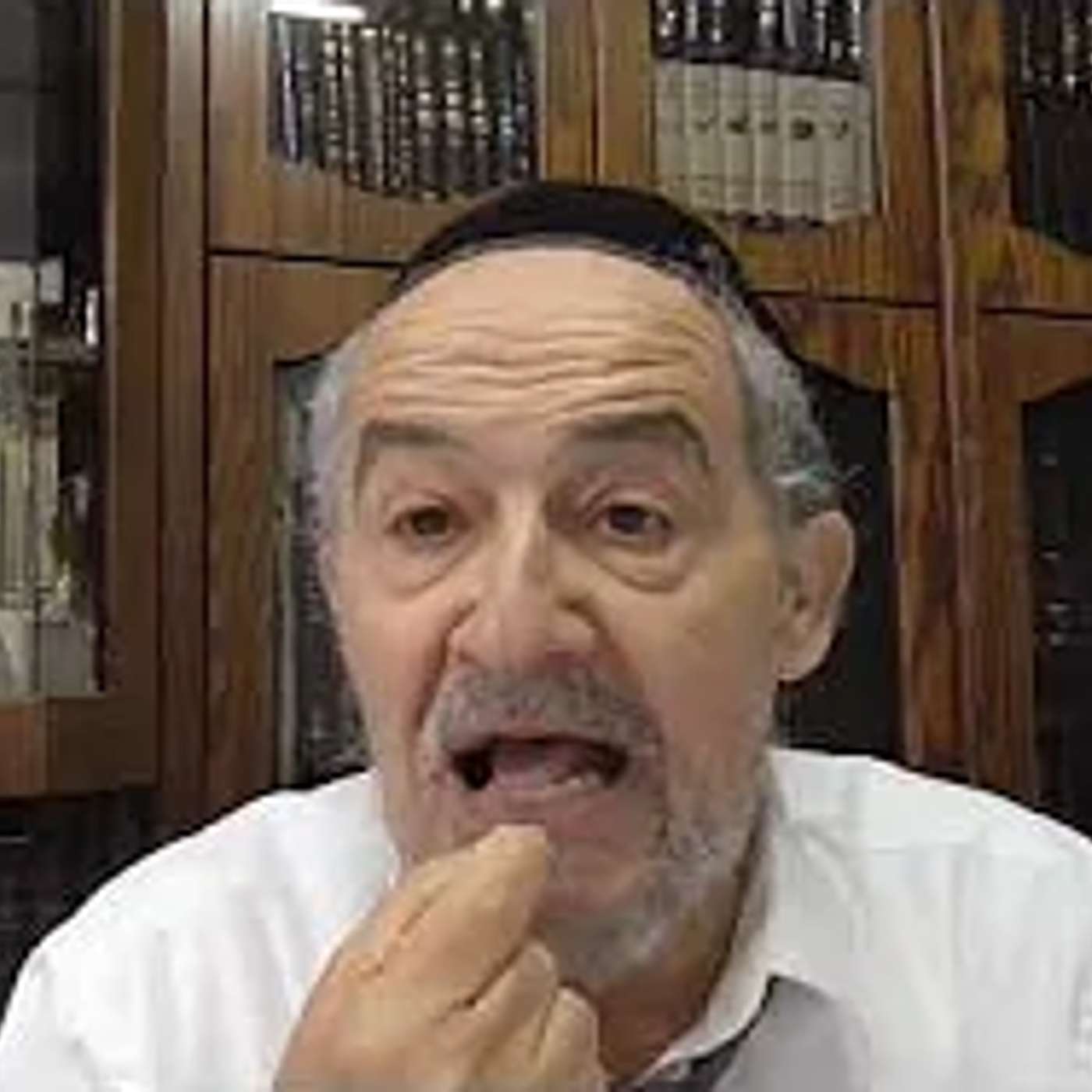 הגיגים לפרשת פנחס תשפו בעברית episode artwork