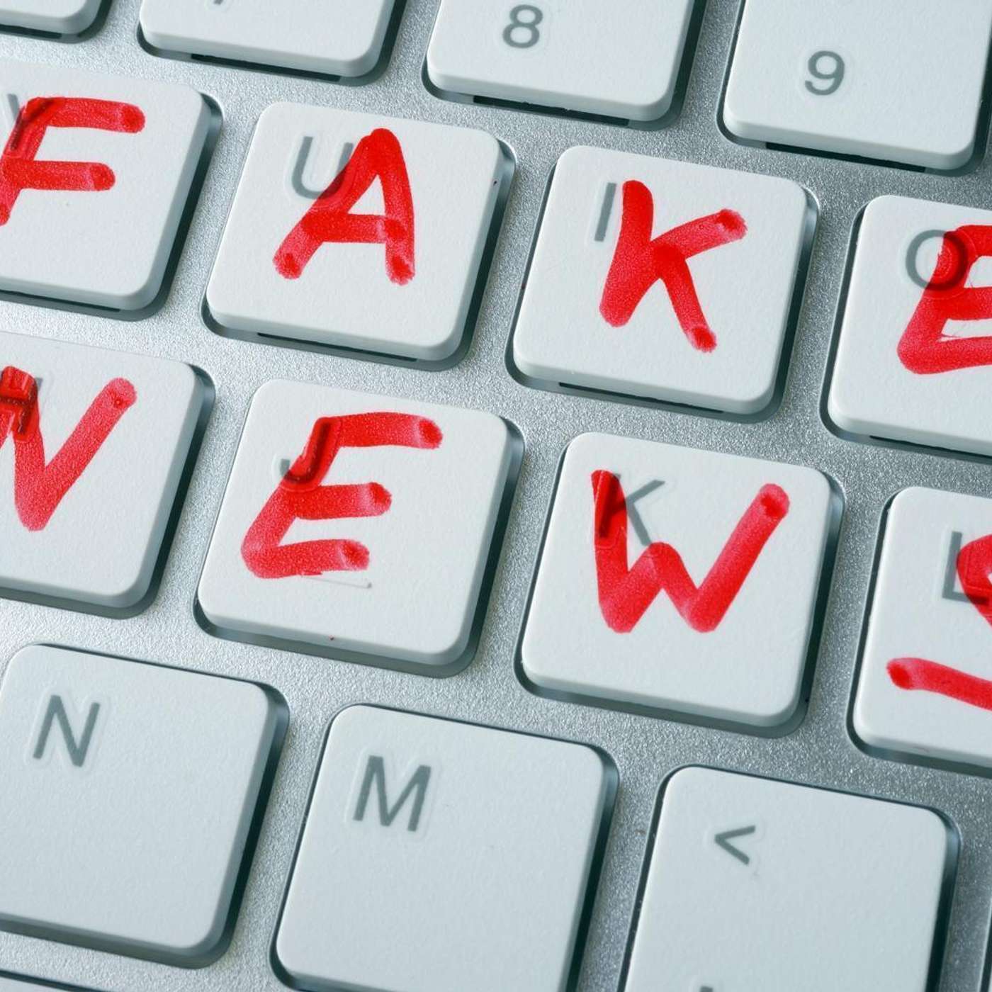 Look Through The Chaos