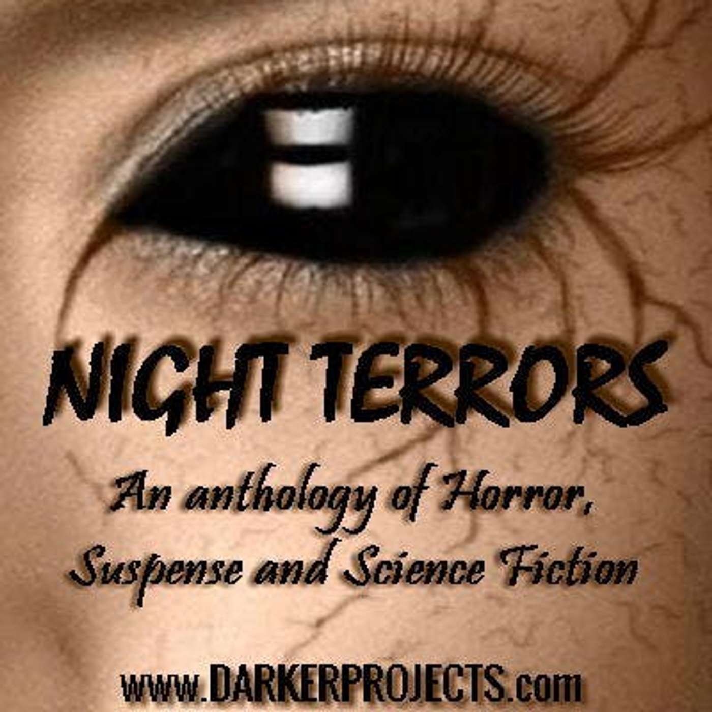 Night Terrors #2.4: The House in Cypress Canyon episode artwork