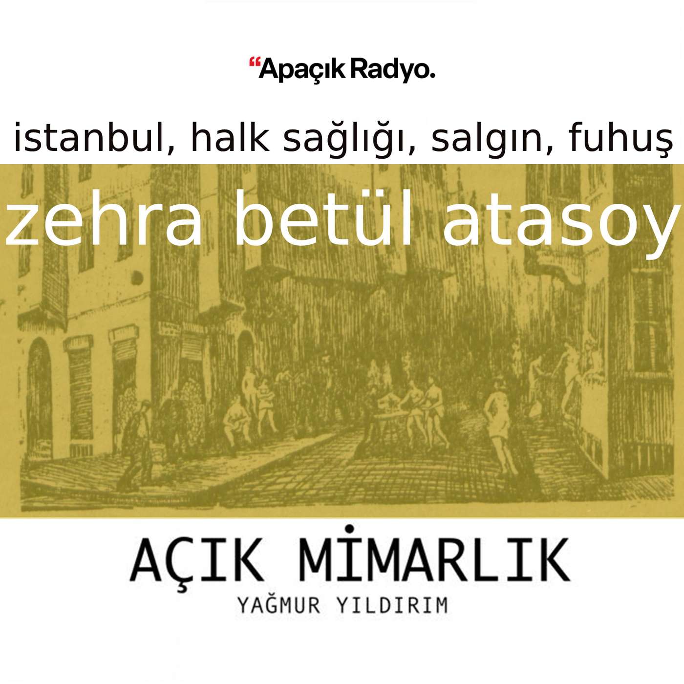 İstanbul'da halk sağlığı, salgınlar, fuhuş İstanbul'da halk sağlığı, salgınlar, fuhuş