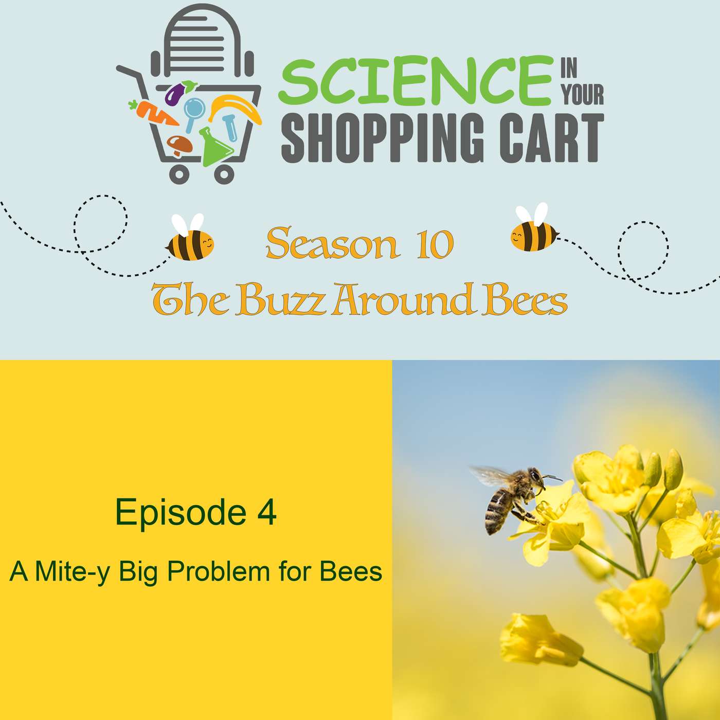 Science In Your Shopping Cart