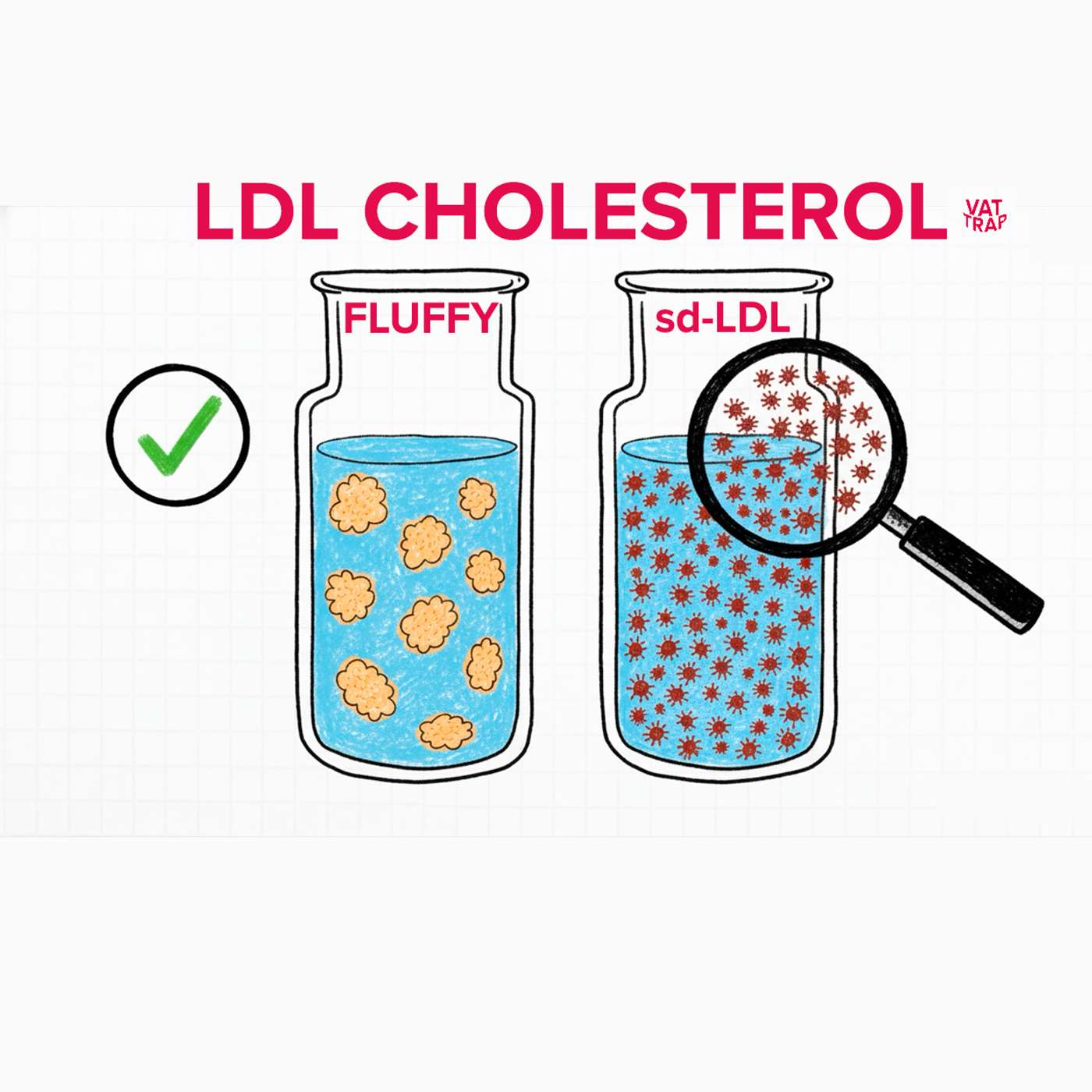 The Hidden Culprit Behind Heart Disease: Small Dense LDL and the Fat You Can’t See episode artwork