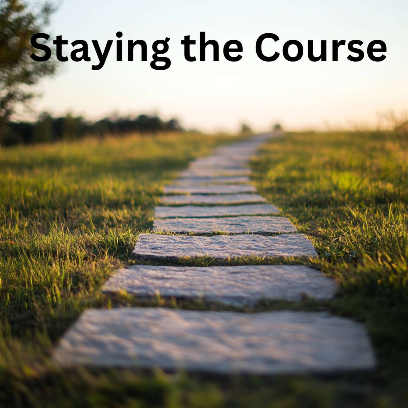 Day 79 - Staying the Course episode artwork