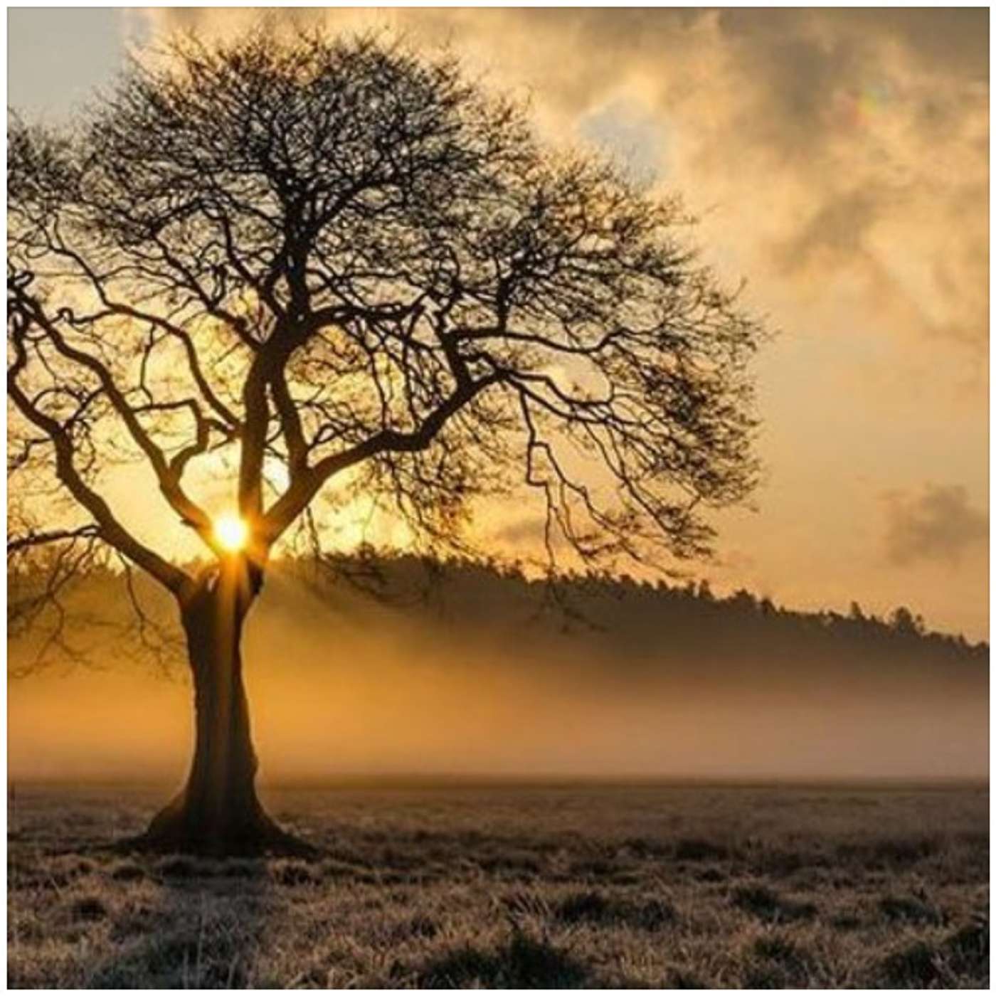 Eretz Yisrael - Are you Humble Enough to Learn from the Torah of Mistakes