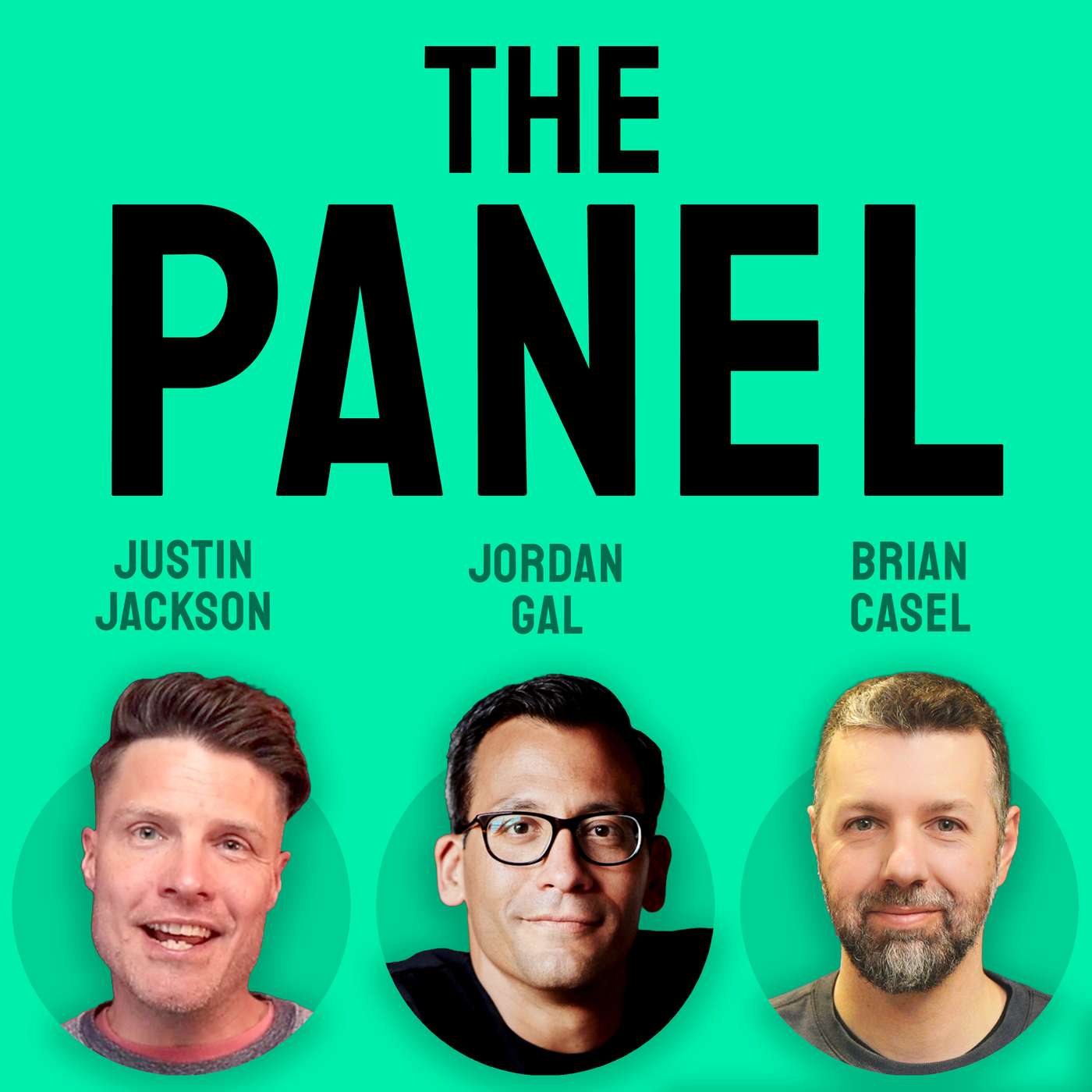 The Panel