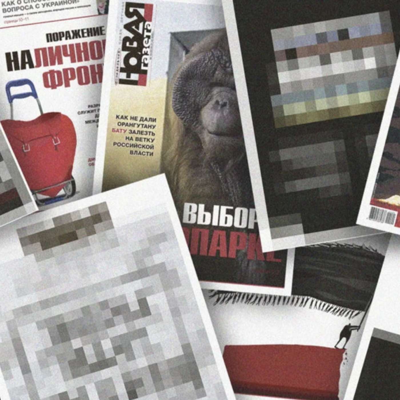 После предупреждений Кремля российская «Новая газета» приостанавливает работу