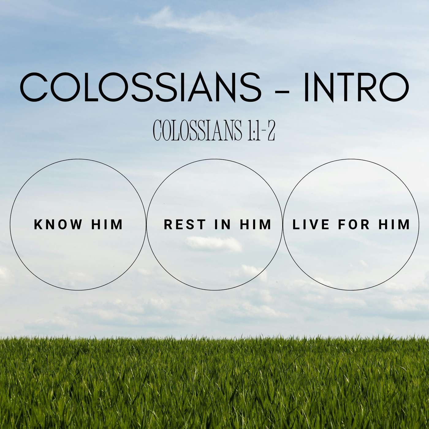 Colossians - Series Introduction - 1:1-2 (P. Tim Carson) episode artwork