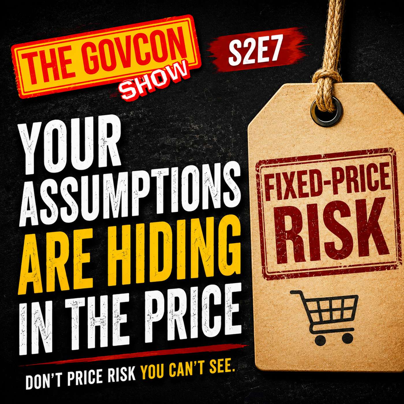 The GovCon Show