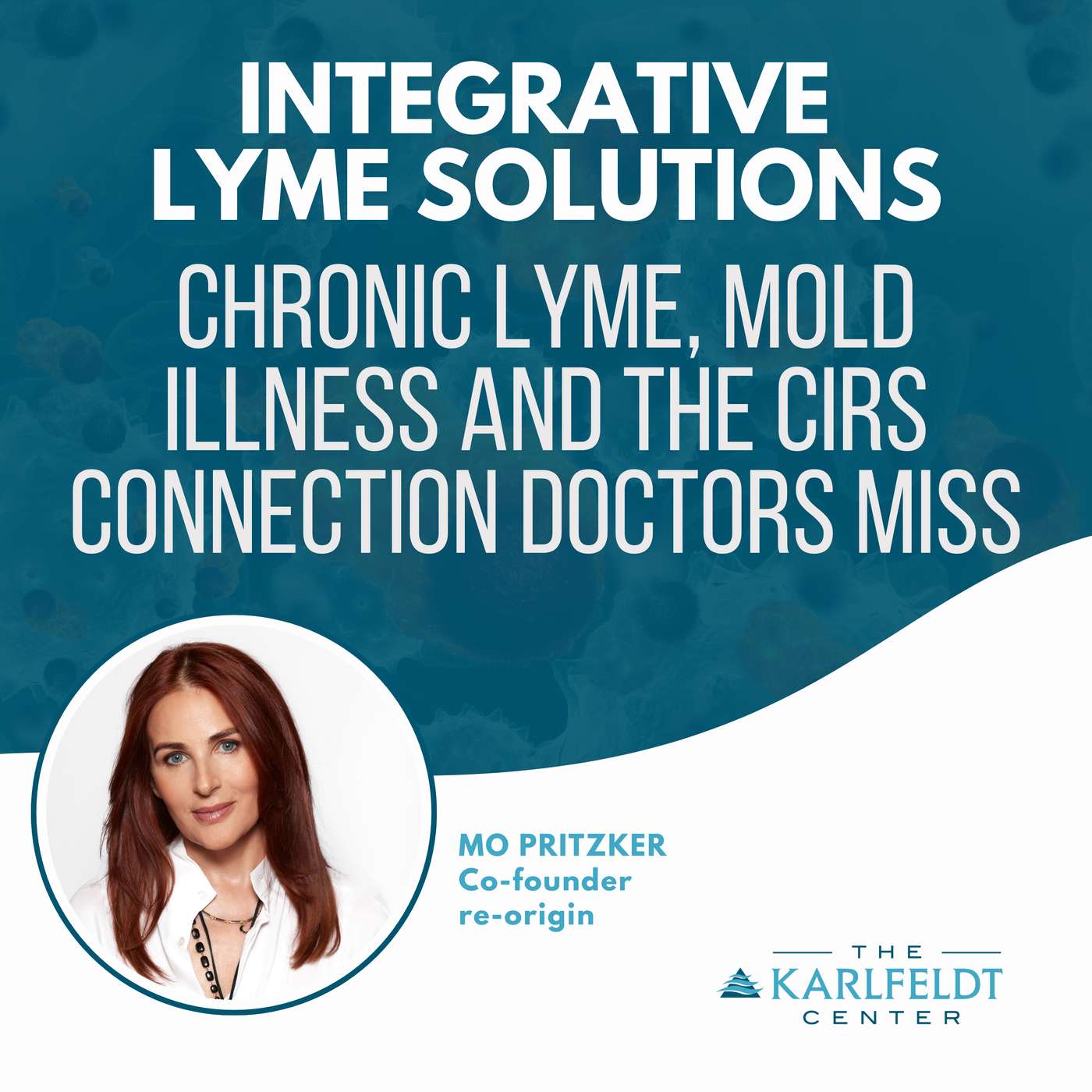 Mo Pritzker | How She Reversed Lyme Disease Using Neuroplasticity, Not Antibiotics episode artwork