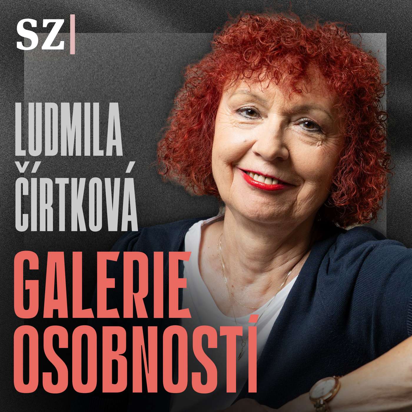 Bojíme se zvrhlého muže ve tmě, nebezpečí je ale jinde, říká Ludmila Čírtková