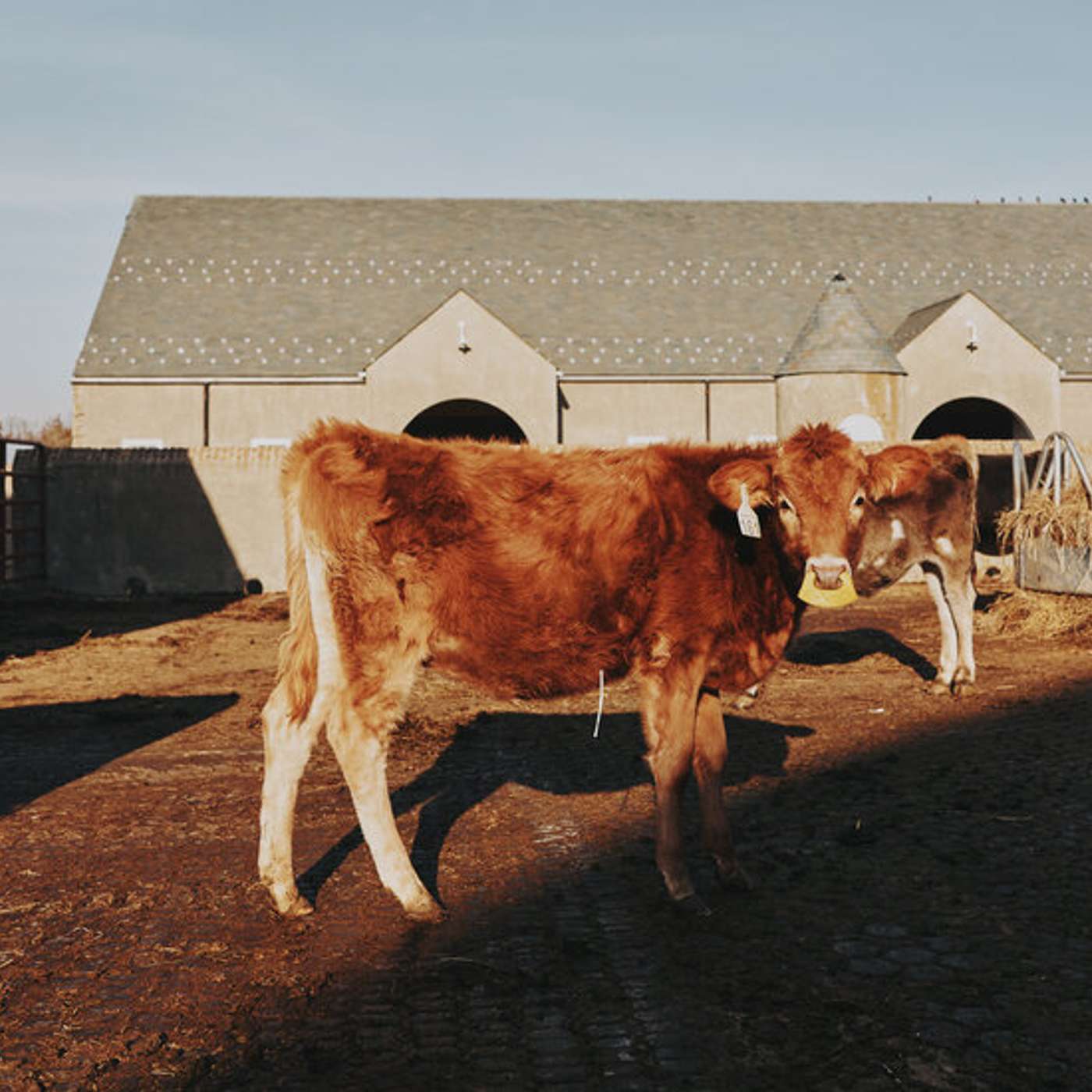 NATO Vows Military Aid, Biden Orders Lunar Time Zone, Trump Blames Biden for Tragic Death, Bird Flu Outbreak, and more...