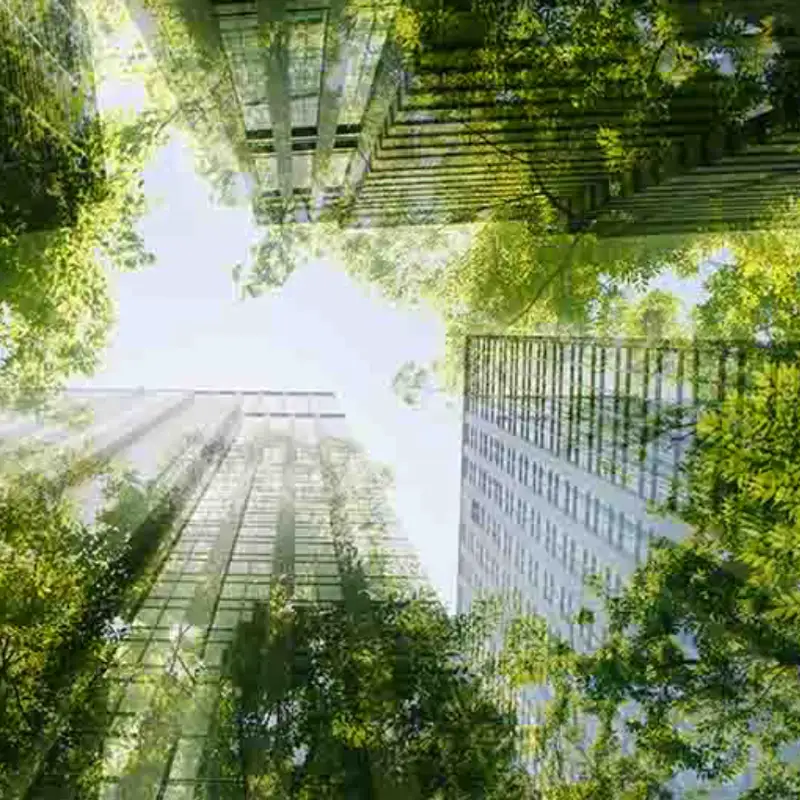 Lighting and climate action