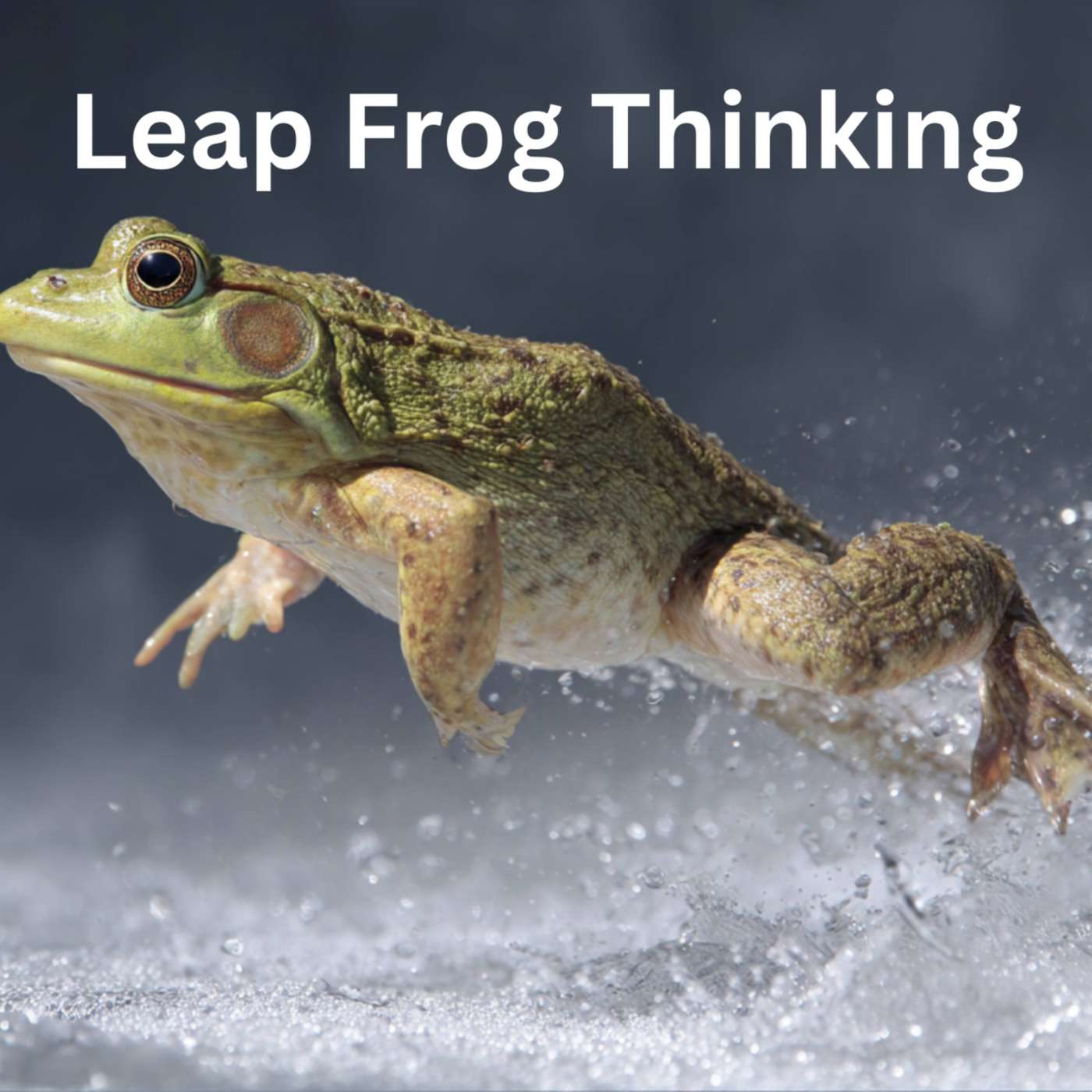 Day 14 - Leap Frog Thinking episode artwork