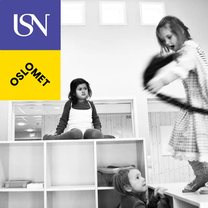 Perspektiver - på barnehagefaglige fenomener 