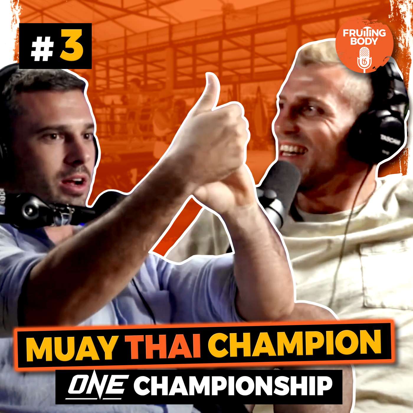 One Championship Muay Thai Professional || Magnus "Crazy Viking" Andersson