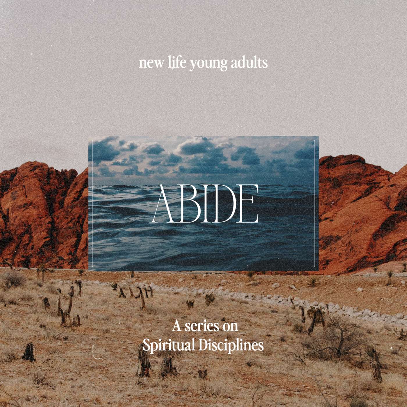 Q + A | Abide | Week Eight episode artwork