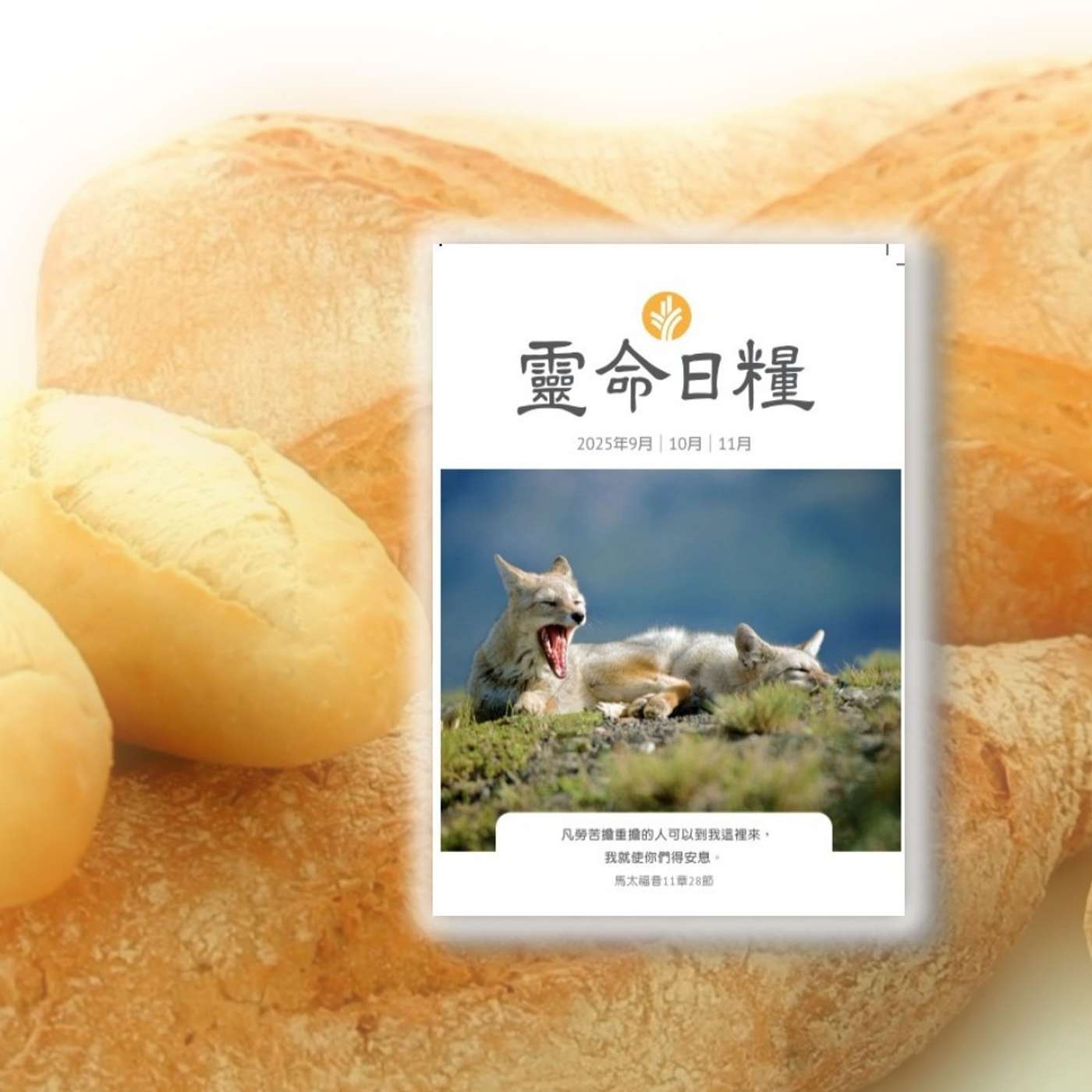 9月2日	上帝行大事