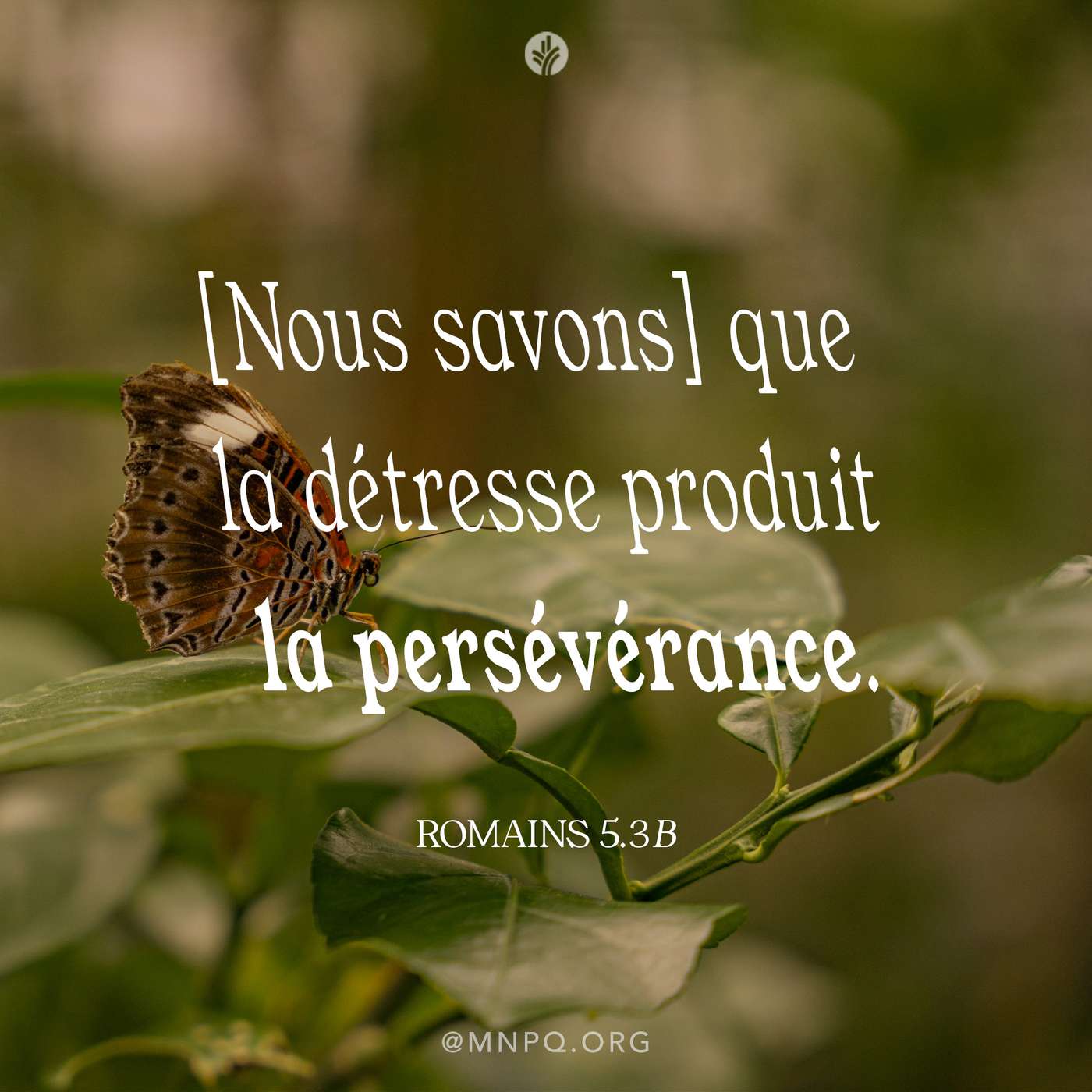 La victoire dans l’épreuve