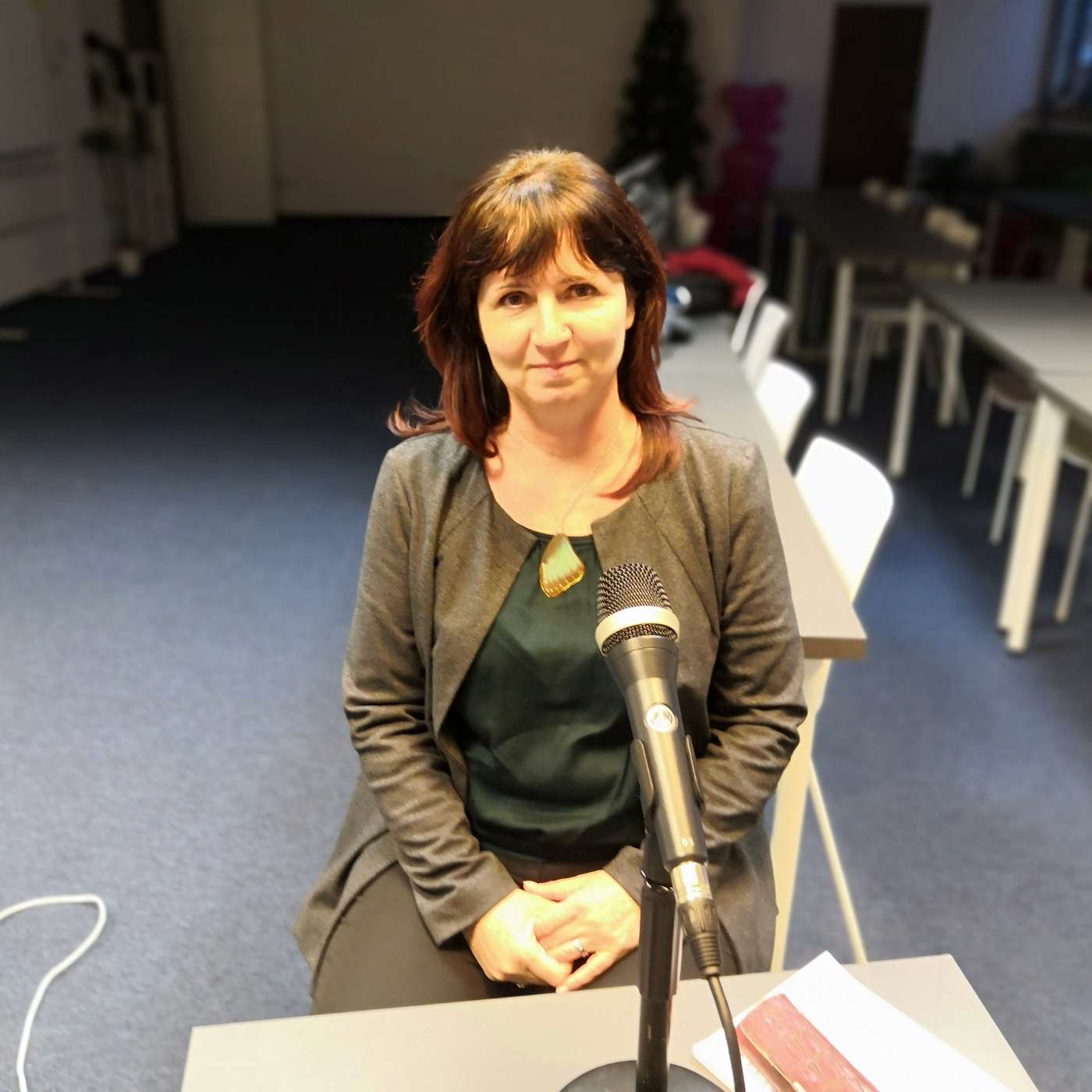 Hana Havlínová: Najdeme výraz v online slovníku a vypneme mobil – a třeťáci vidí, že jim pomáhá, ale jindy může rušit episode artwork