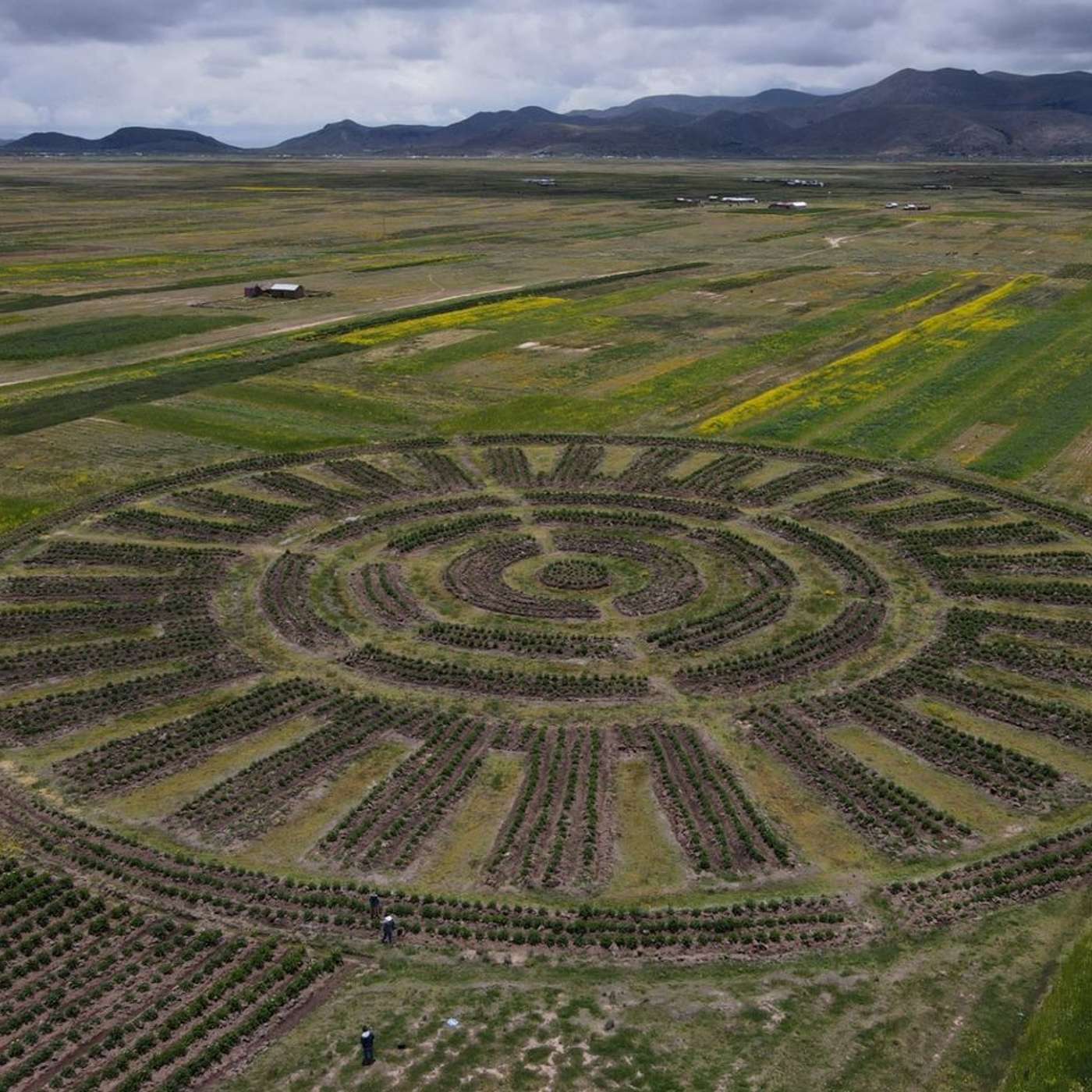 Breakthrough in Alzheimer's Detection, AI Unveils 303 Nazca Geoglyphs, MT-Net Improves Lung Nodule Detection, DNA Editing Cuts Cholesterol Effectively, and more...