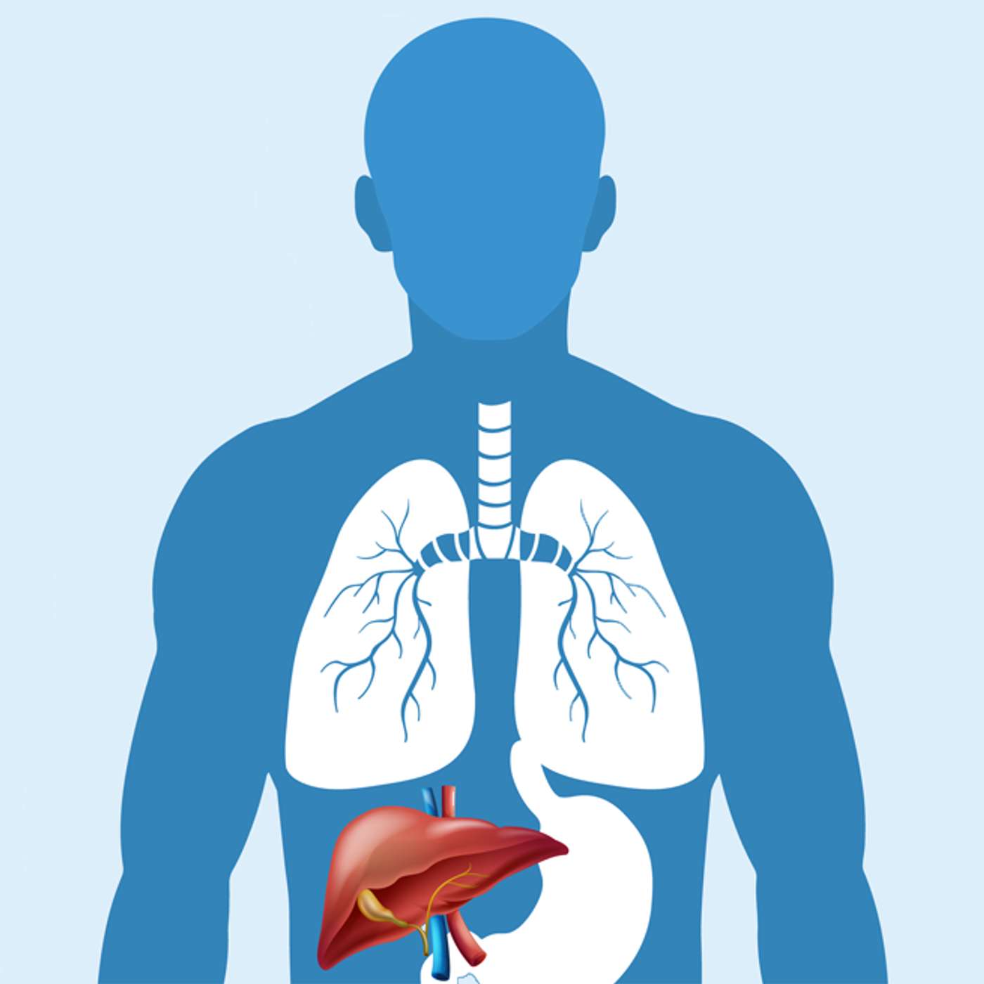 MASLD/MASH -metabolic dysfunction -associated steatotic liver disease: What You Need to Know episode artwork