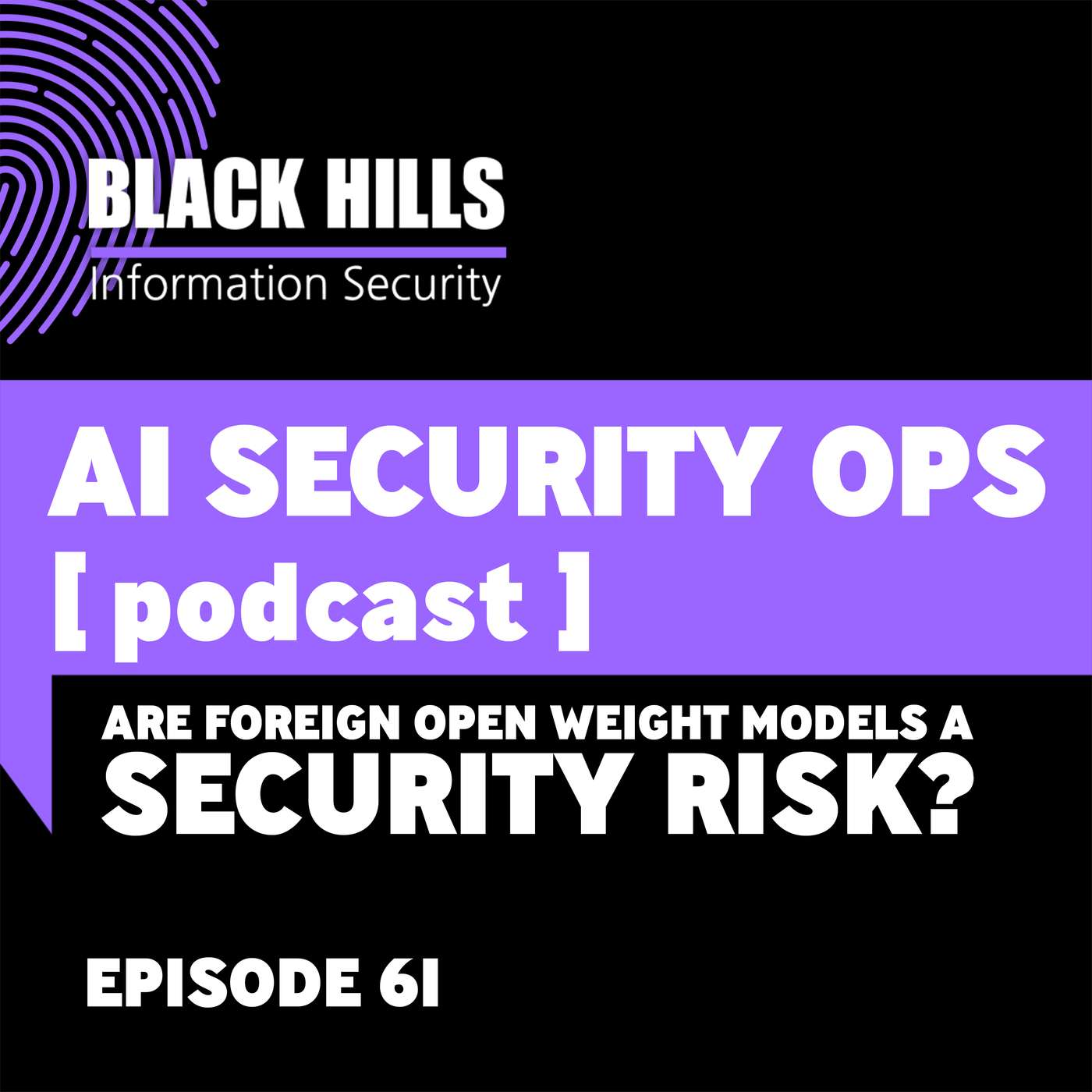 Are Foreign Open Weight Models a Security Risk? | Episode 61 episode artwork