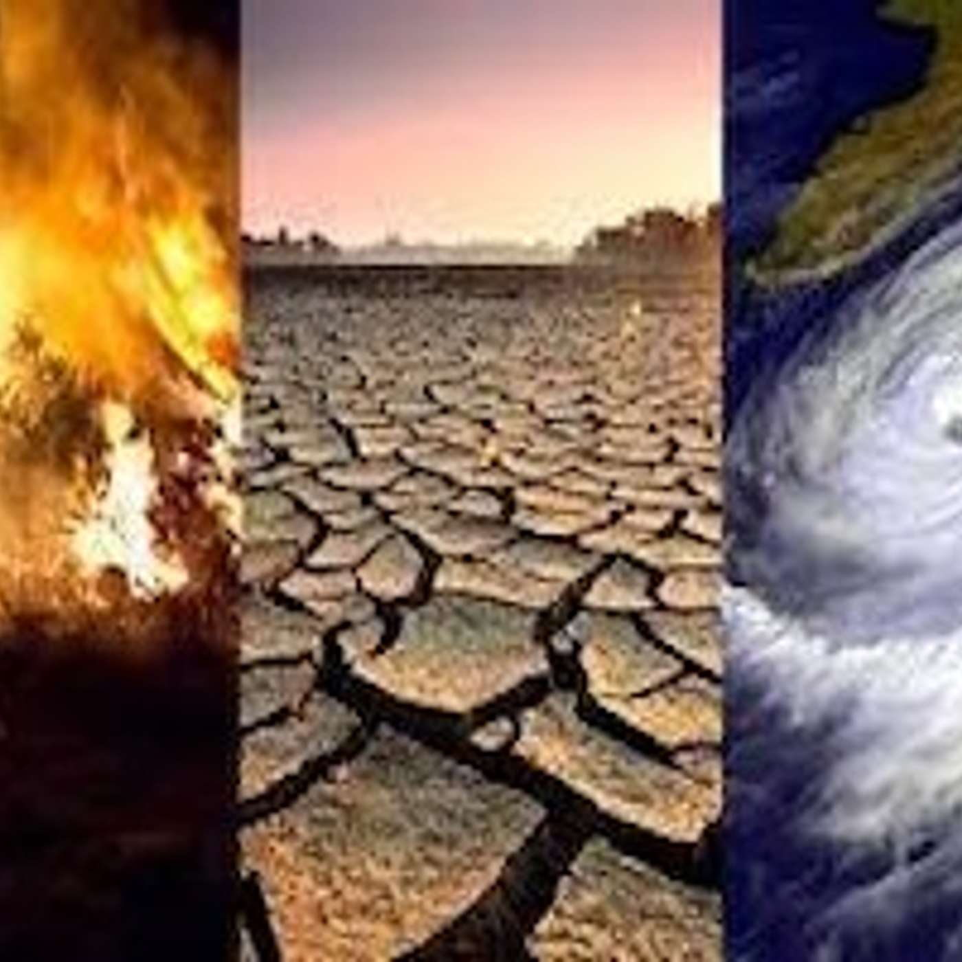 The World’s at a Crossroads on Our Climate Future: Apocalypse or Utopia Interview with Brian Tokar, activist, author and board member of the Institute for Social Ecology, conducted by Scott Harris