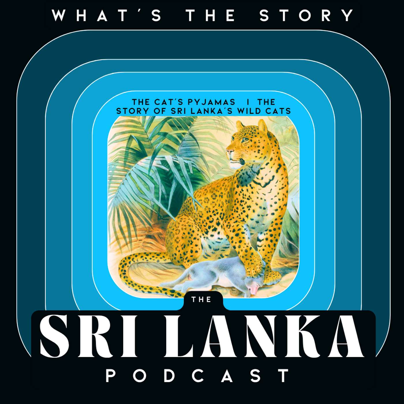 The Cat’s Pyjamas  I The Story Of Sri Lanka’s Wild Cats episode artwork