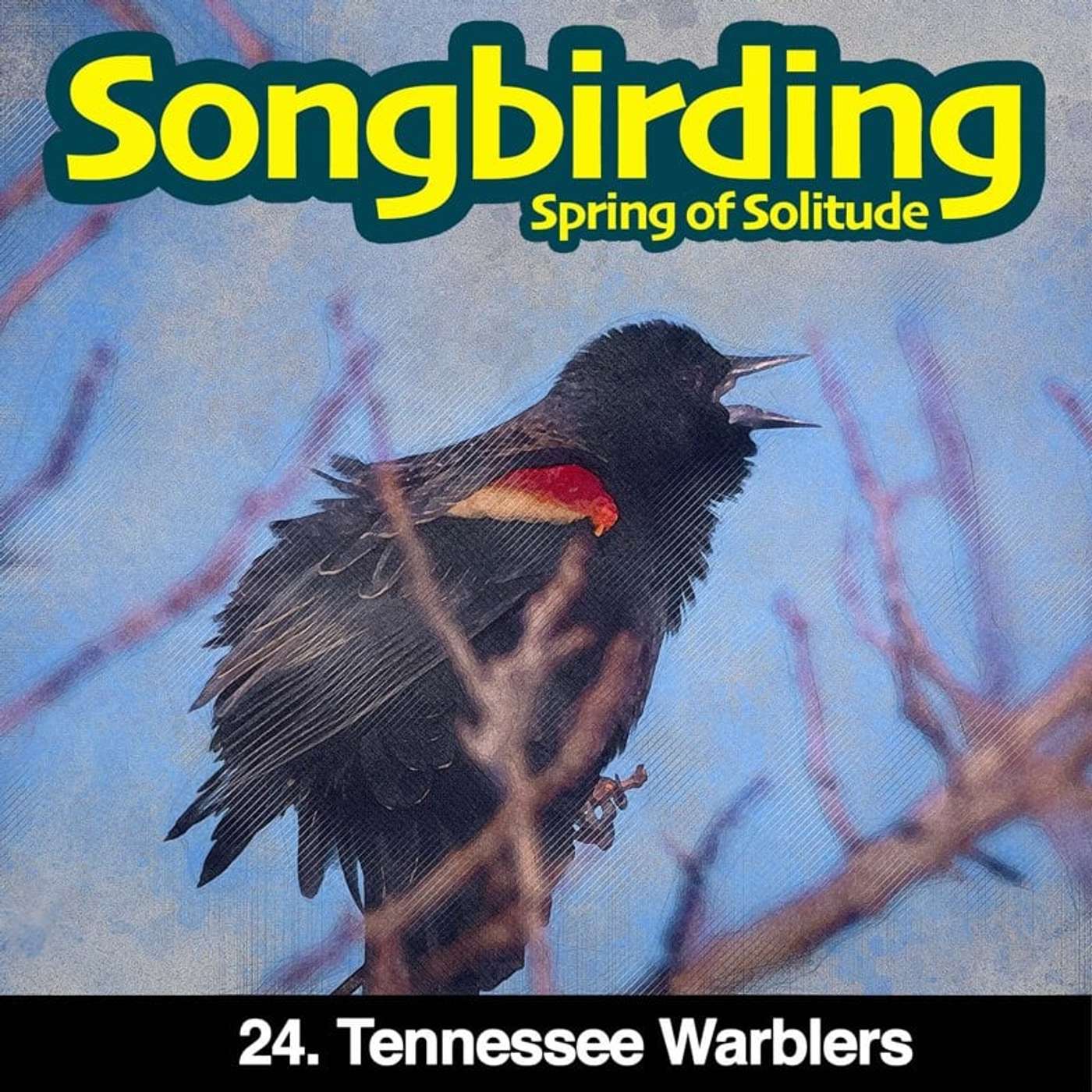 Songbirding