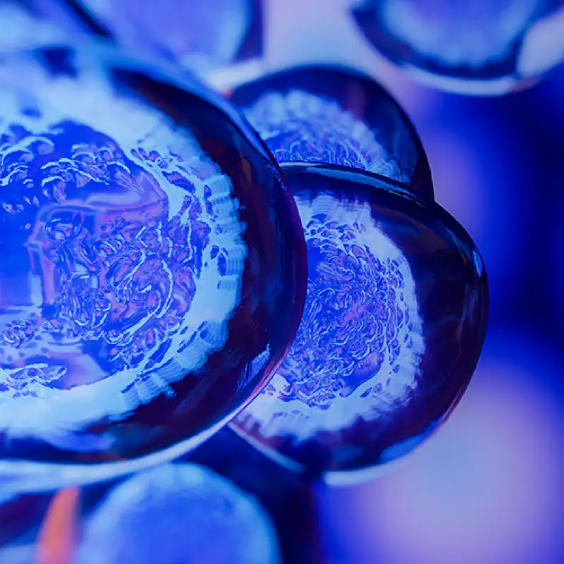 Islet Cell Replacement Therapy, with Manasi Sinha Jaiman, MD, MPH