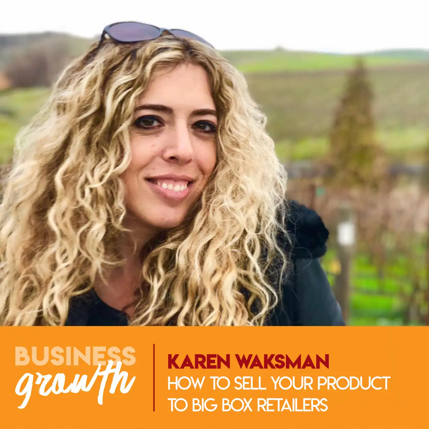 How To Sell Your Product To Big Box Retailers with Karen Waksman - Episode 73 episode artwork