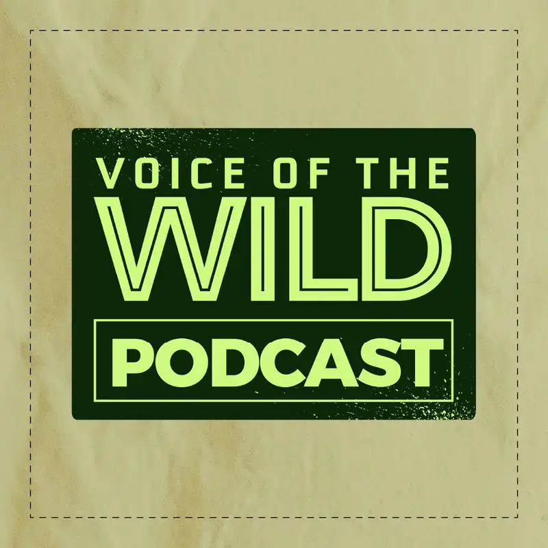 Voice of the Wild...on the Radio?