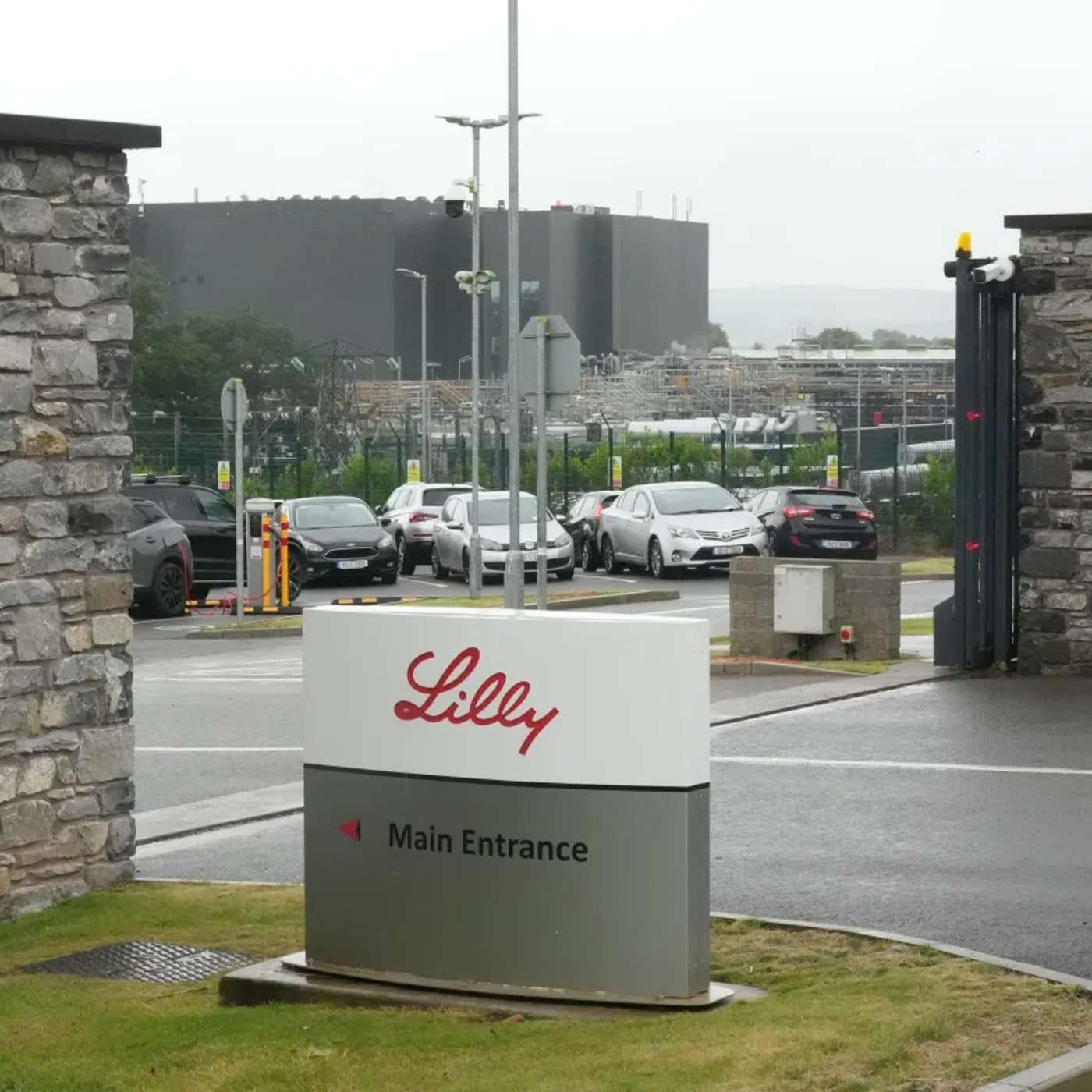 Lilly Drug Drives Breakthrough Weight Loss, Orca Dolphin Salmon Alliance, Cross Species Gene Sharing Redefines Evolution, Stem Therapy Restores Gut Health, and more...