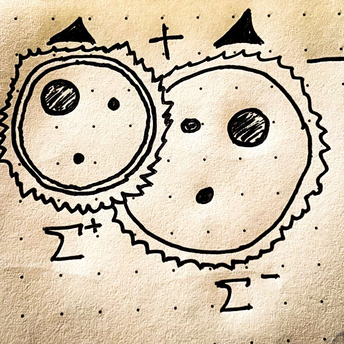 The Field Guide to Particle Physics