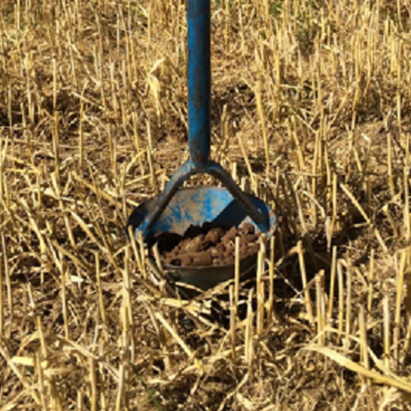 Digging into soil samples Digging into soil samples