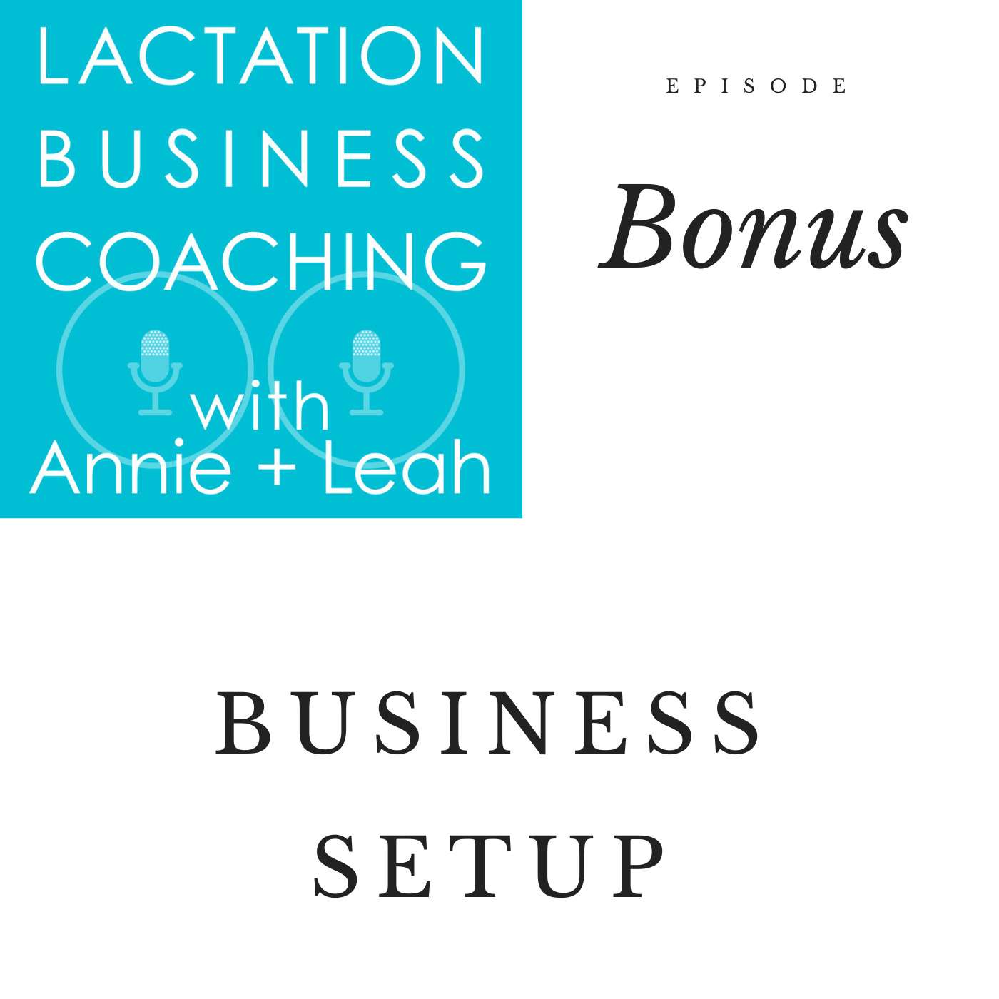 Lactation Business Coaching with Annie and Leah