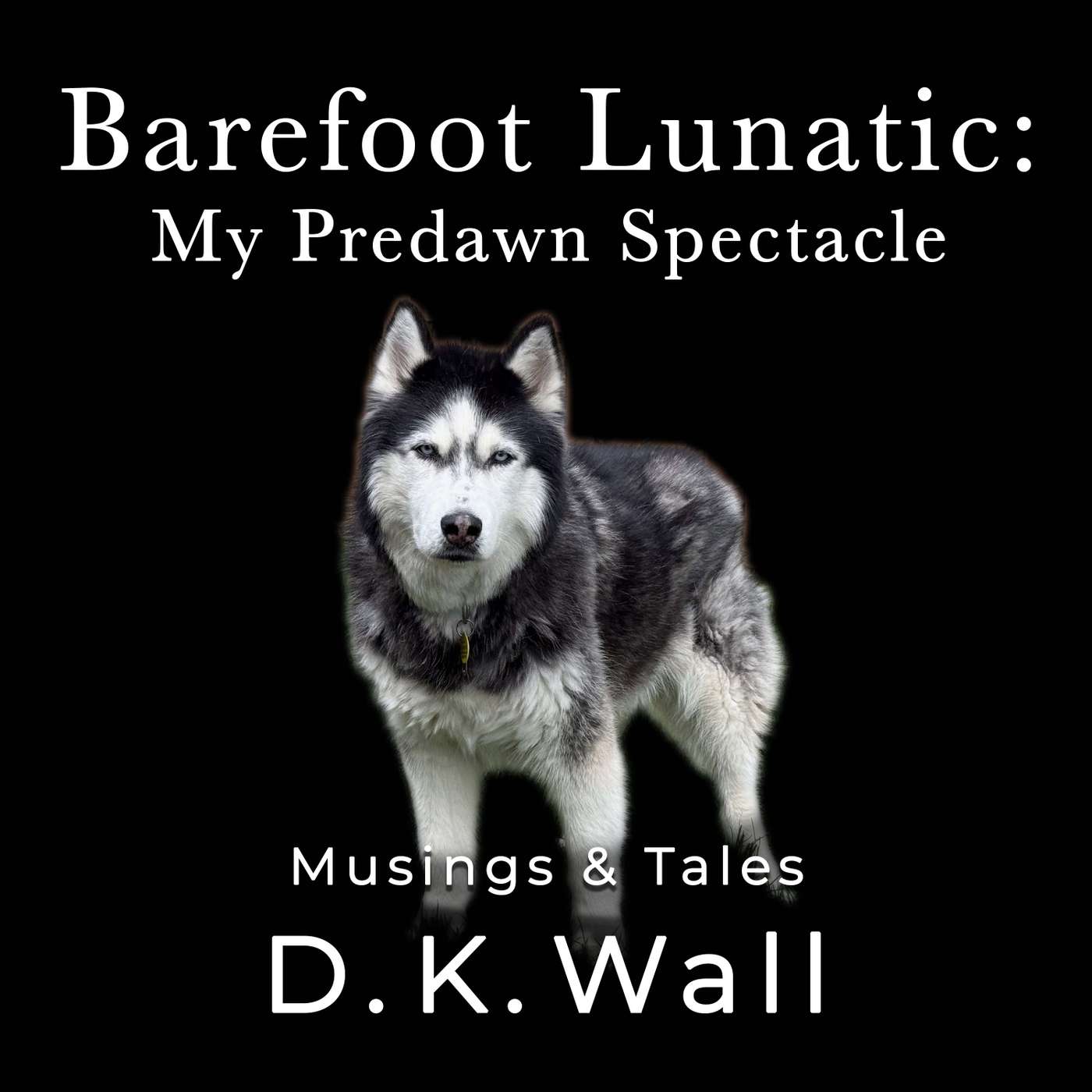 Barefoot Lunatic: My Predawn Spectacle episode artwork