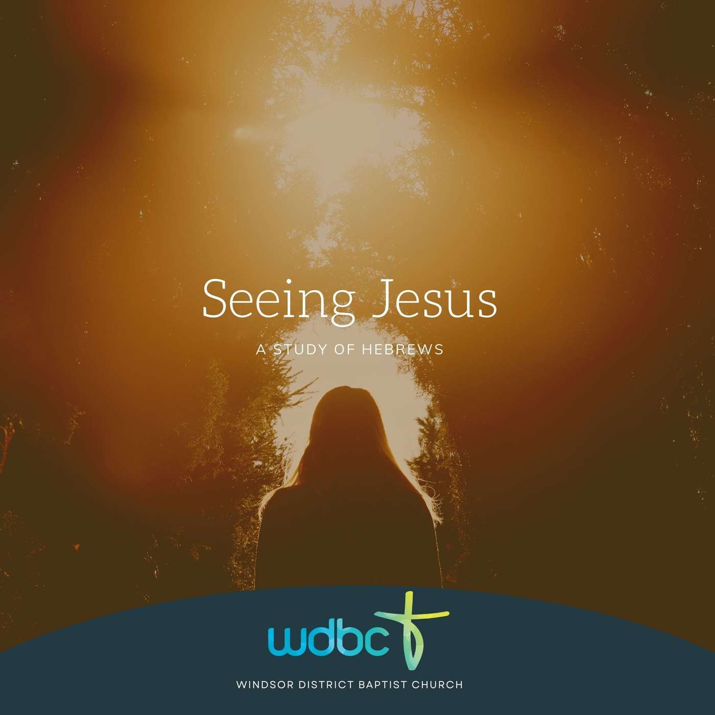 Seeing Jesus #10 | Our Sanctifying Benefactor episode artwork
