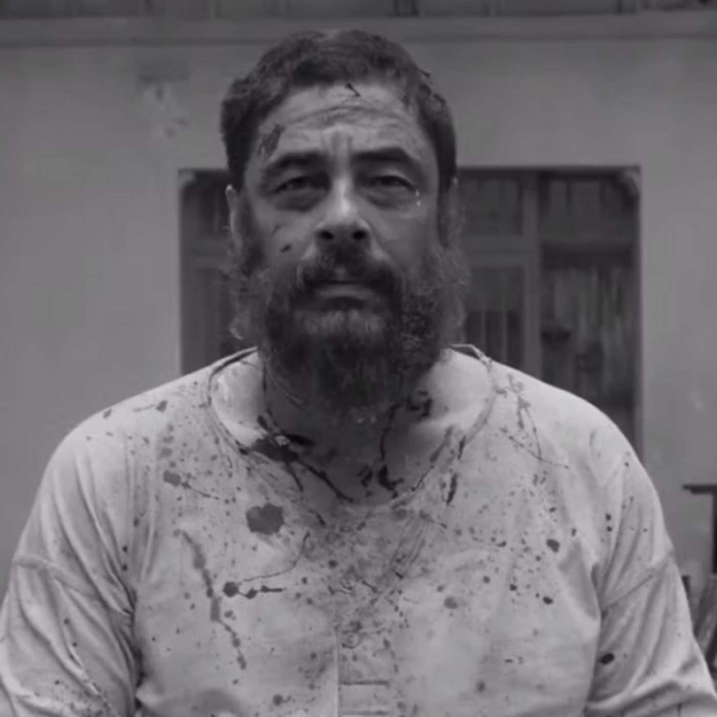 Greenground.it | Daily News and Reviews | Season One