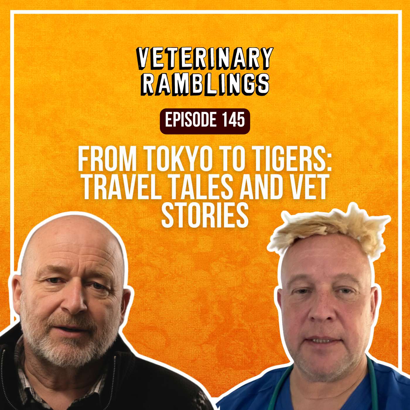 From Tokyo to Tigers: Travel Tales and Vet Stories