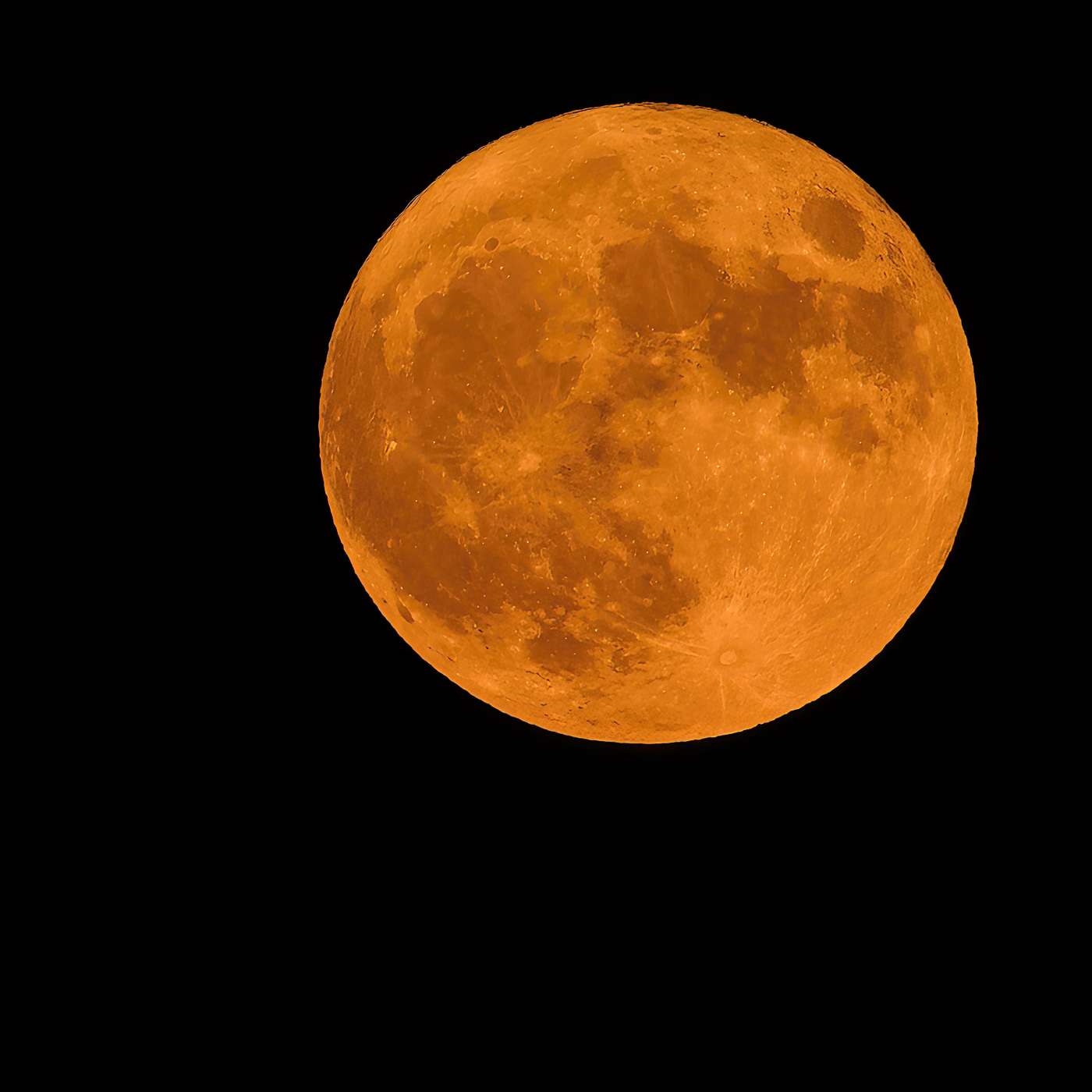 Scary Sounds..to Animals