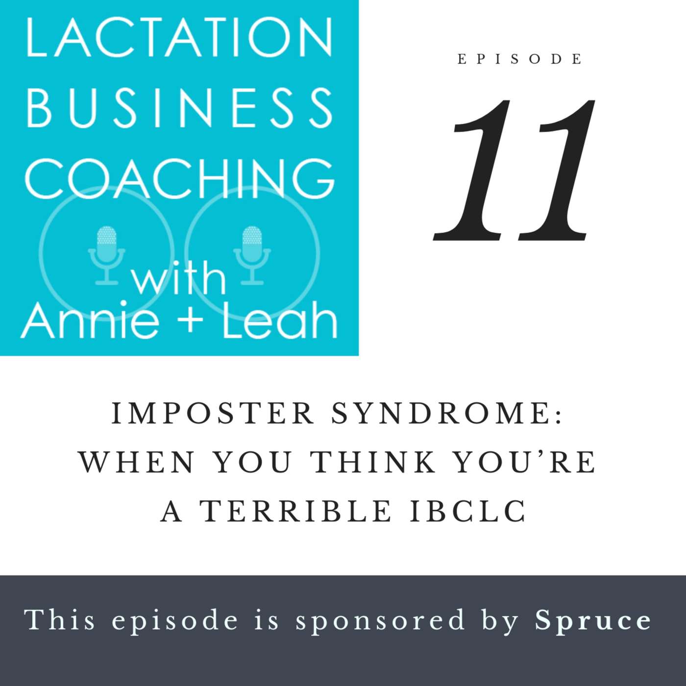 Lactation Business Coaching with Annie and Leah